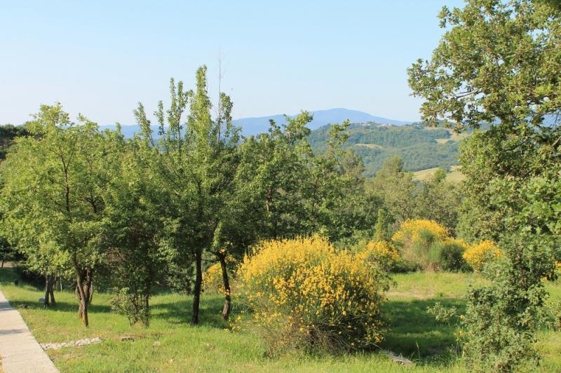 Agriturismo Podere Costarella Villa Radicondoli Ruang foto